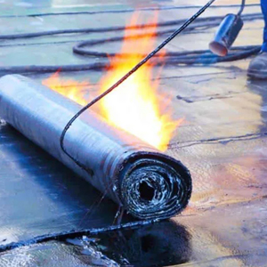 Membrane Coating and Insulation